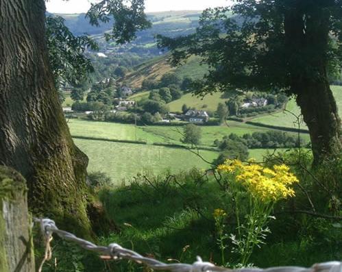 Horseshoe Pass Holiday Lets Llangollen Chambre photo